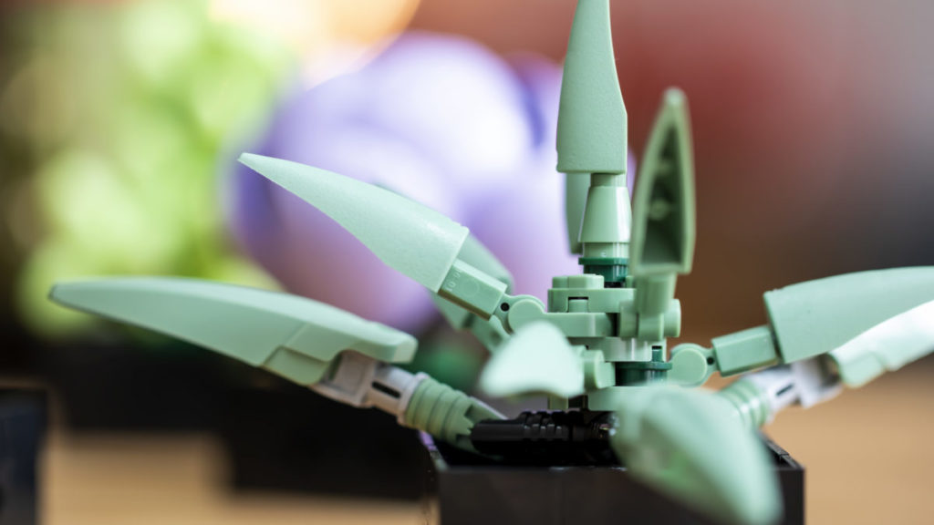 LEGO The Botanical Collection 10309 Succulents 4 1024x576