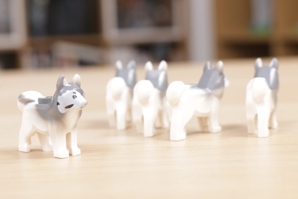 LEGO Husky dog misprint 11 1024x683