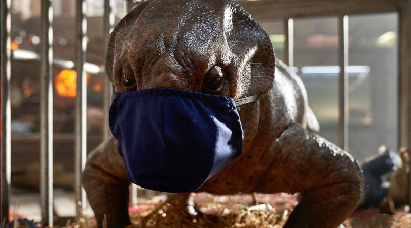 Jurassic World: Dominion filming on hold