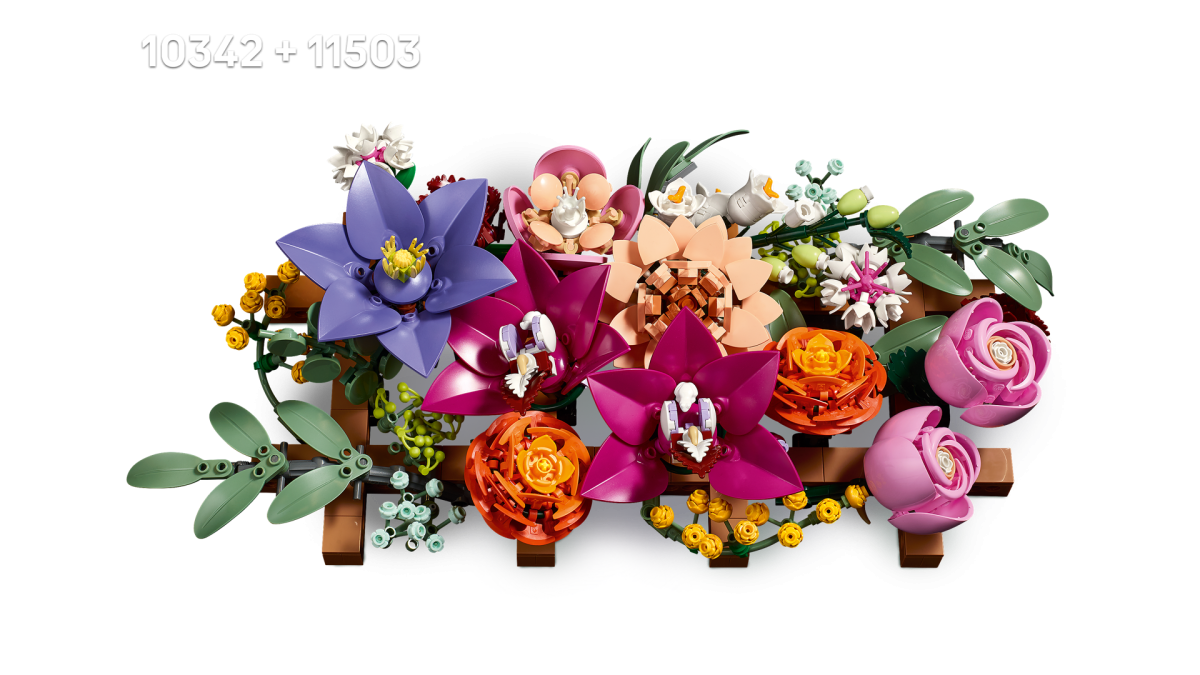 LEGO Botanicals 11503 10342 3 1200x675