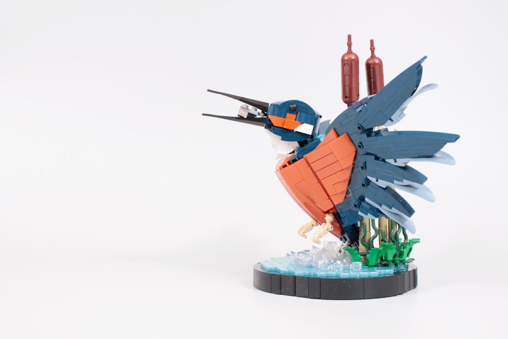 LEGO Icons 10331 Kingfisher Bird review 22 1024x683