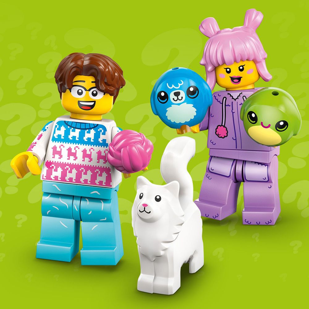 LEGO Minifigures 71048 Series 27 6