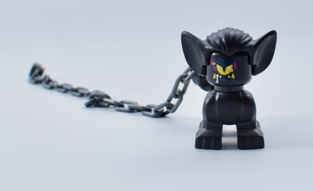 LEGO DREAMZzz 71476 Zoey and Zian the Cat Owl review 47 1024x625