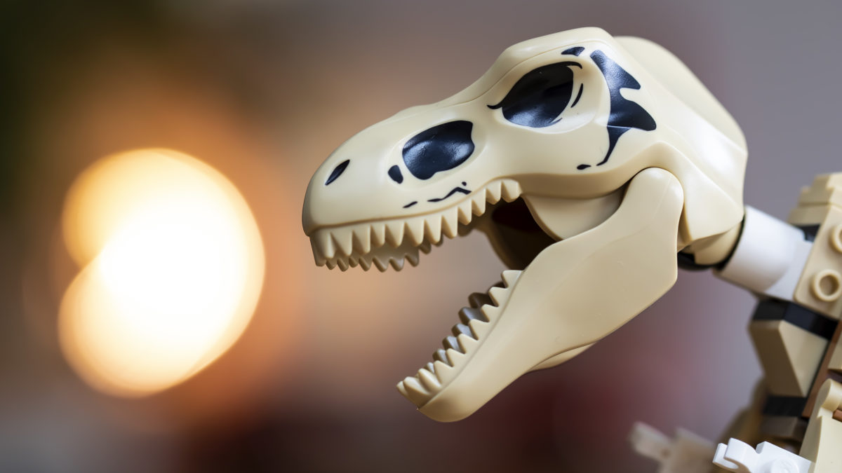 LEGO Jurassic World 76940 T. rex Dinosaur Fossil Exhibition review