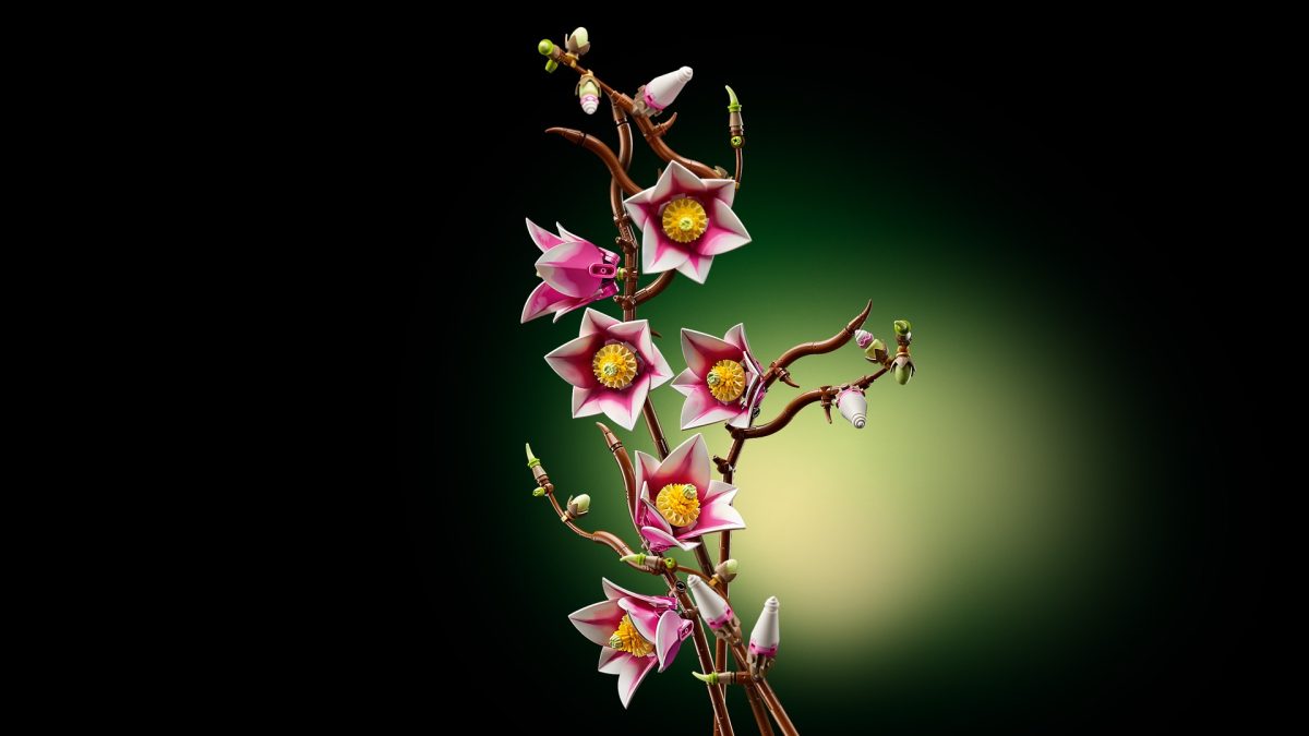 LEGO Botanicals 11510 Magnolia Branches 22 1200x675