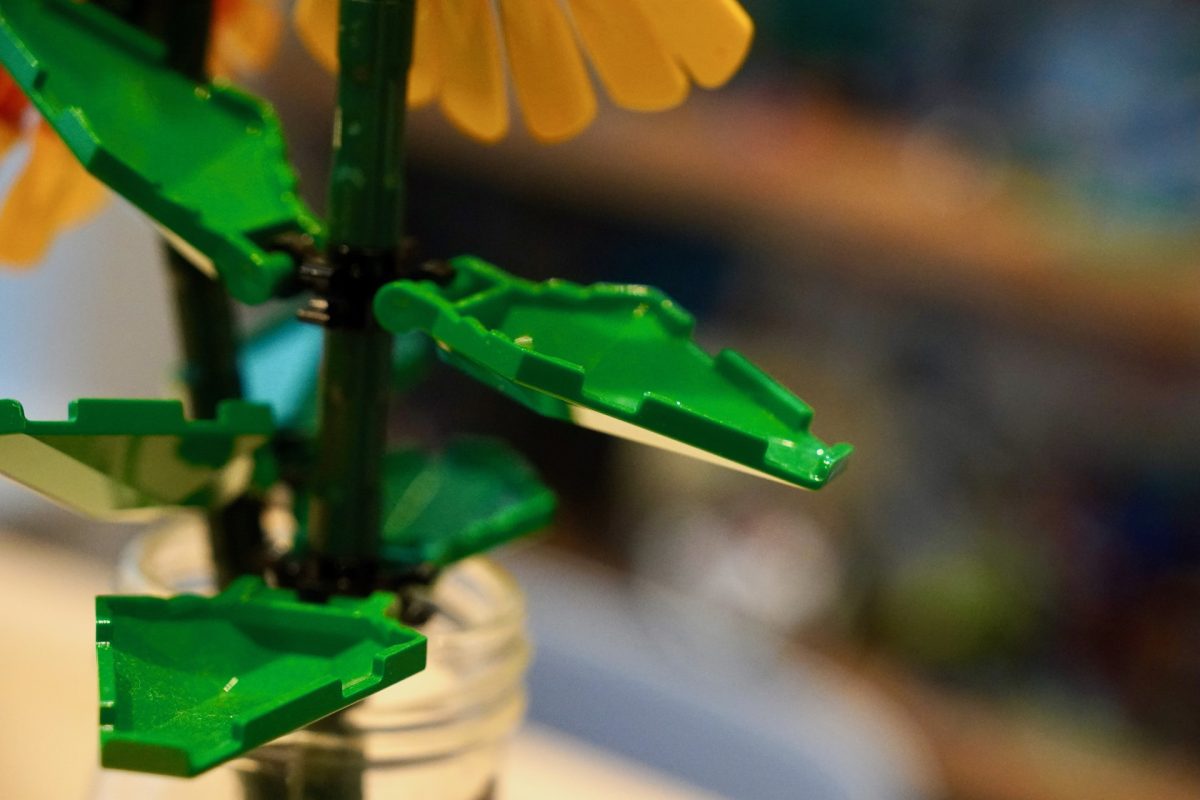 LEGO Botanicals 11502 Sunflower Bouquet 40524 Sunflowers review 6 1200x800