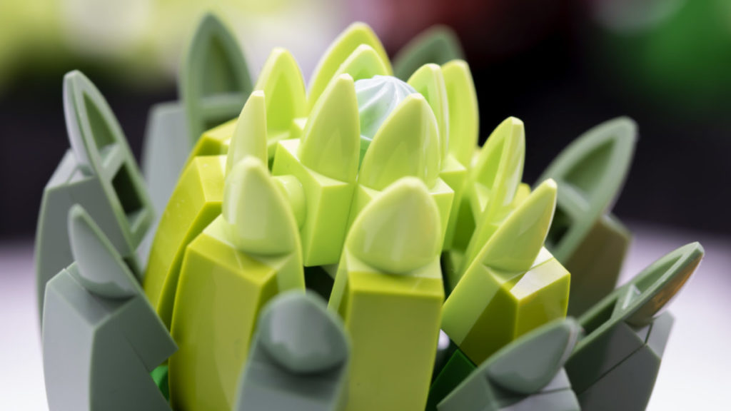 LEGO The Botanical Collection 10309 Succulents 34 1024x576