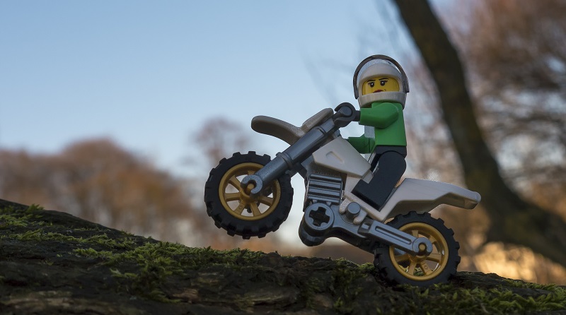 Brick Pic of the Day: Branch biking