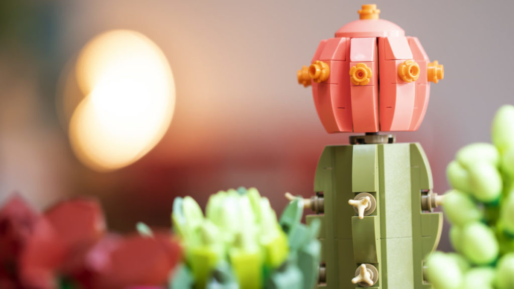 LEGO The Botanical Collection 10309 Succulents 9 1024x576
