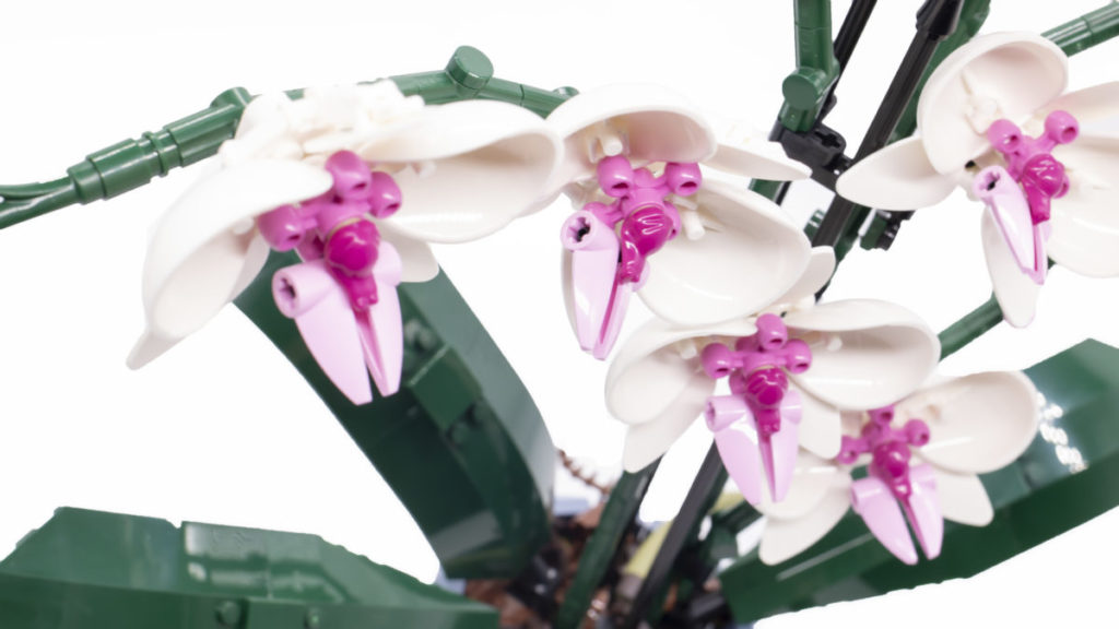 LEGO Botanical Collection 10311 Orchid 22 1024x576