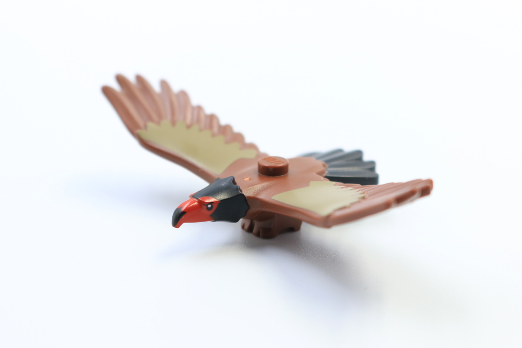 Eagle1