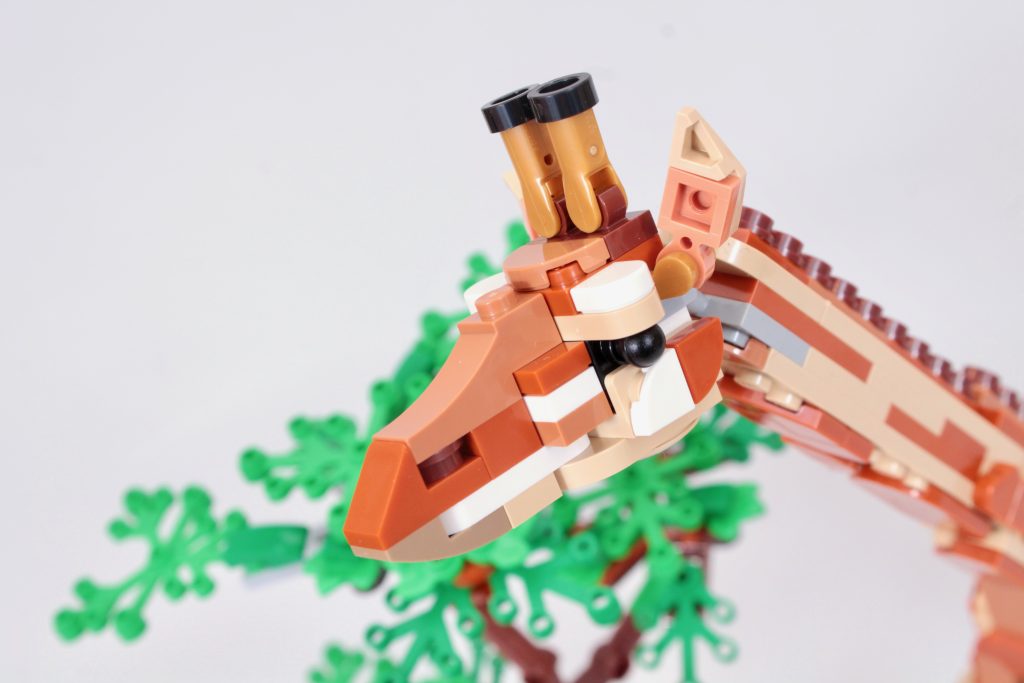 LEGO Creator 3 in 1 31150 Wild Safari Animals review 2 1024x683