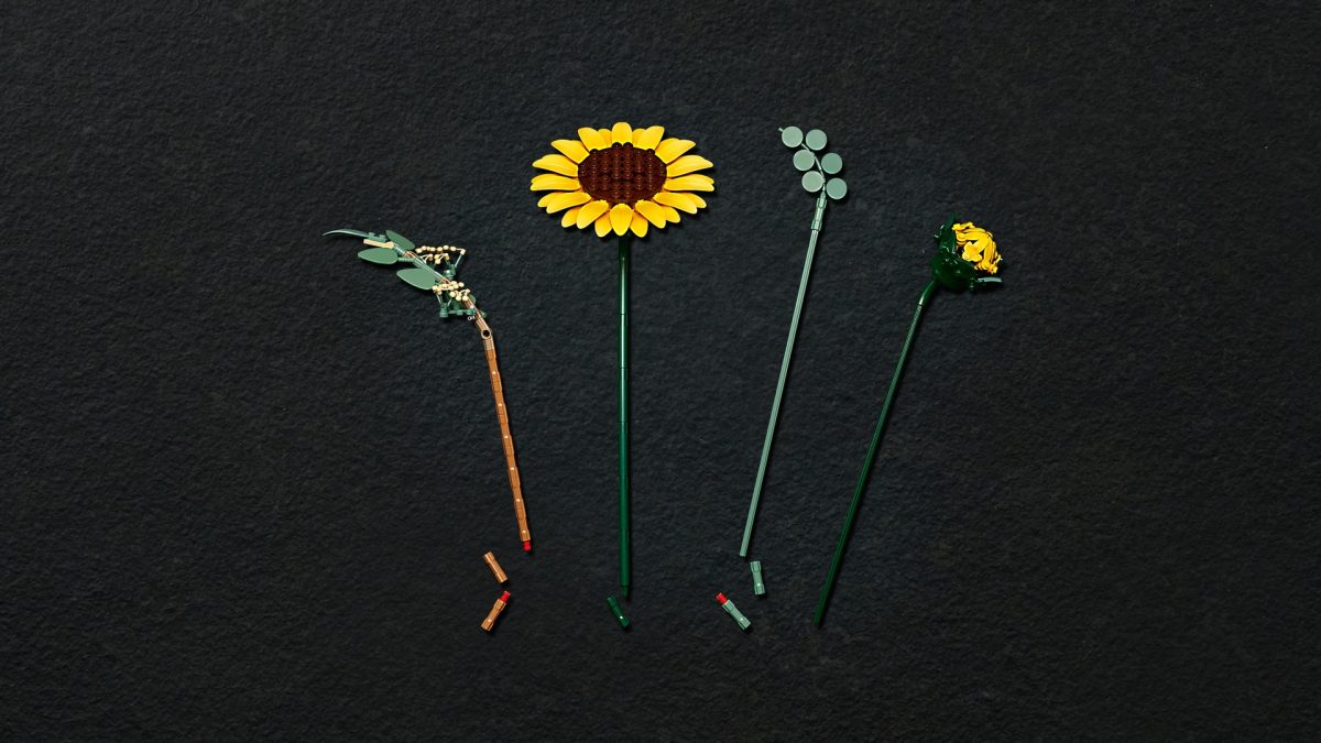 LEGO Botanicals 11502 Sunflower Bouquet 20 1200x675