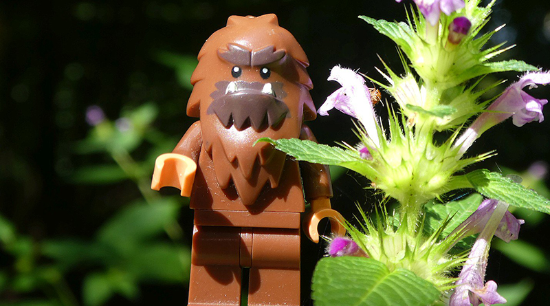 Brick Pic of the Day: Bigfoot sighting