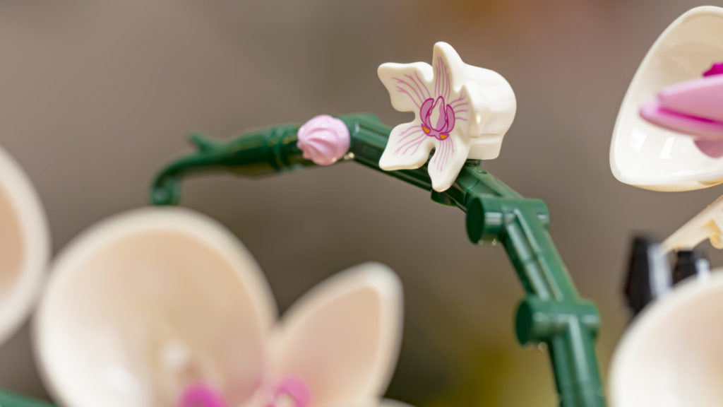 LEGO Botanical Collection 10311 Orchid 3 1024x576
