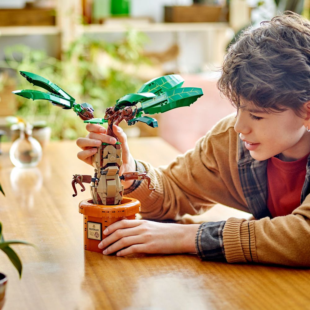 LEGO Harry Potter 76433 Mandrake 7