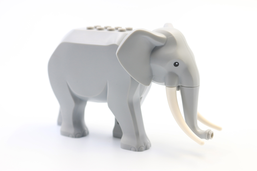 Elephant1
