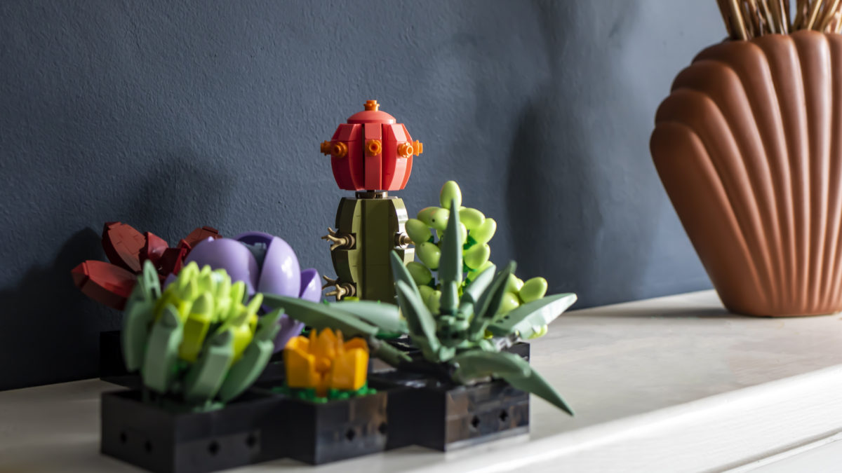 LEGO Botanical Collection 10309 Succulents encourages building together