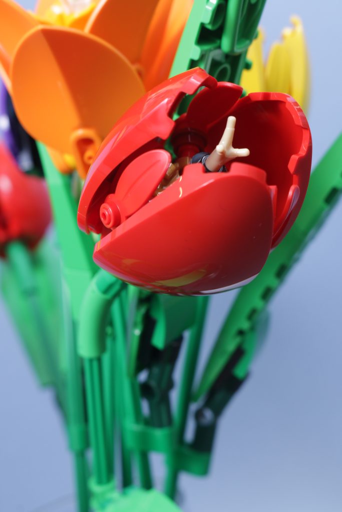 LEGO Botanicals 11501 Tulip Bouquet 11509 Flowering Cactus 11508 Daisies 11504 Peace Lily review 30 683x1024