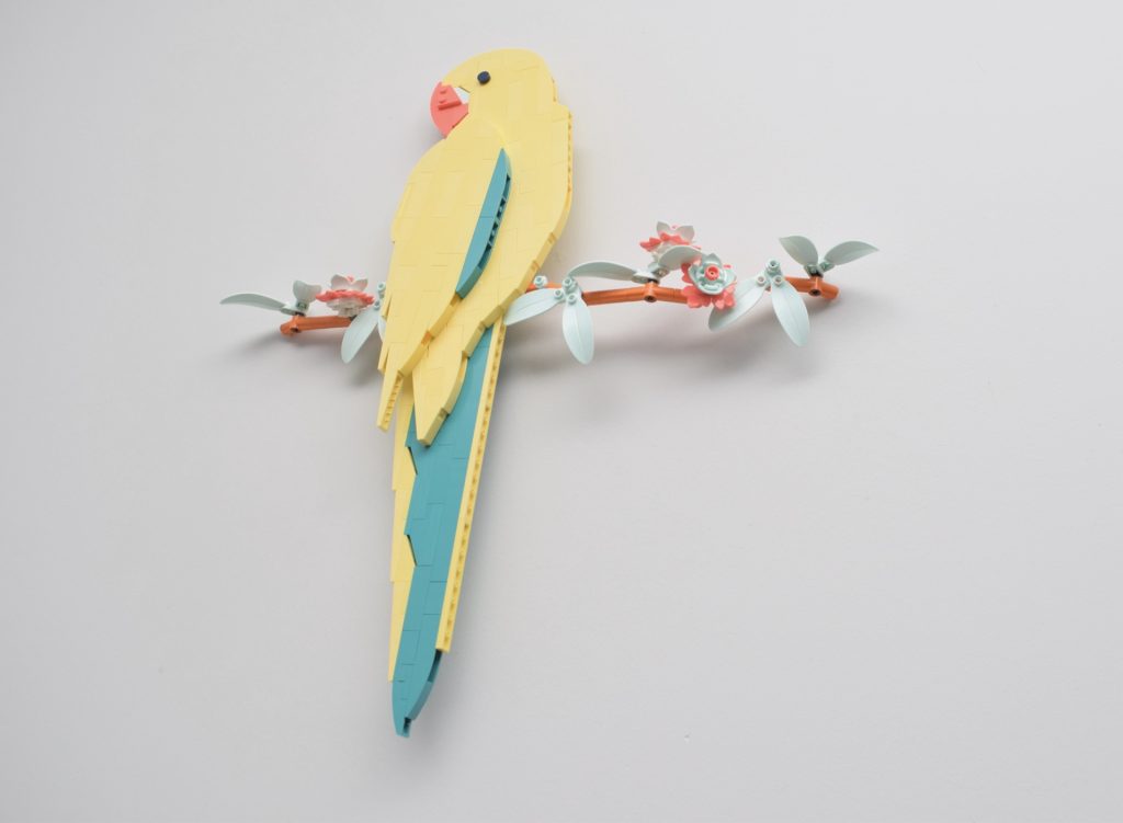 LEGO Art 31211 Macaw Parrots review 24 1024x751