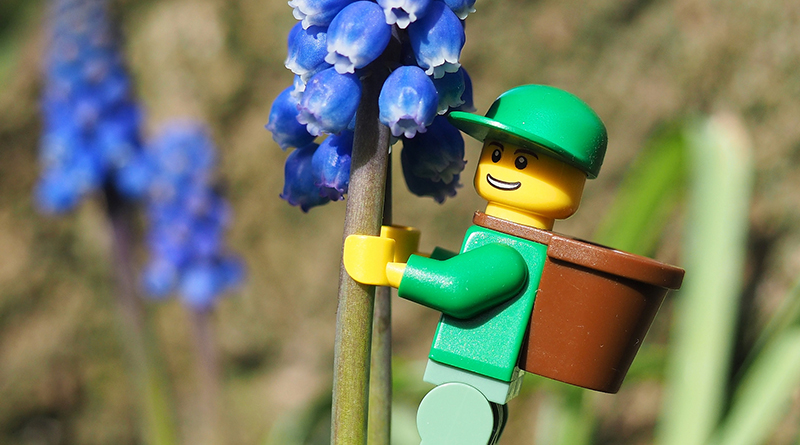 Brick Pic of the Day: Pollen pursuit