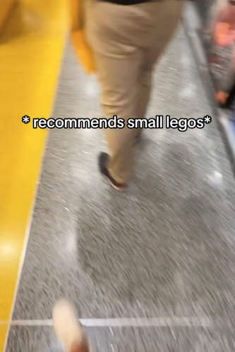 serenaneel LEGO TikTok FIrst Time