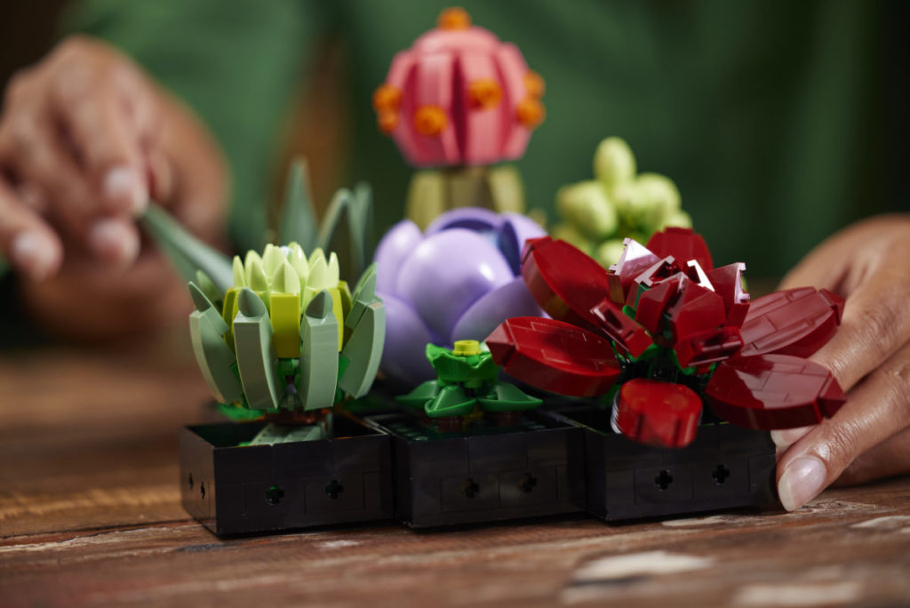 LEGO Creator Expert Botanical Collection 10309 Succulents 5 1024x684