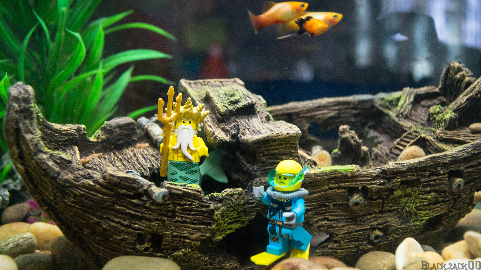 Brick Pic of the Day: Something fishy going on