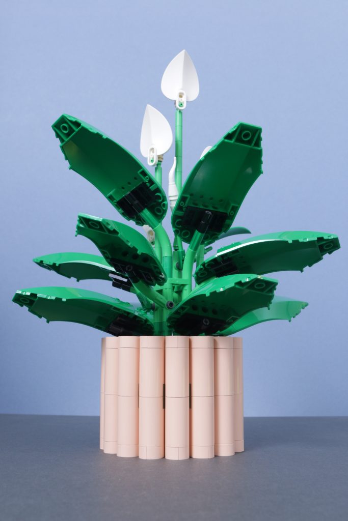 LEGO Botanicals 11501 Tulip Bouquet 11509 Flowering Cactus 11508 Daisies 11504 Peace Lily review 21 683x1024