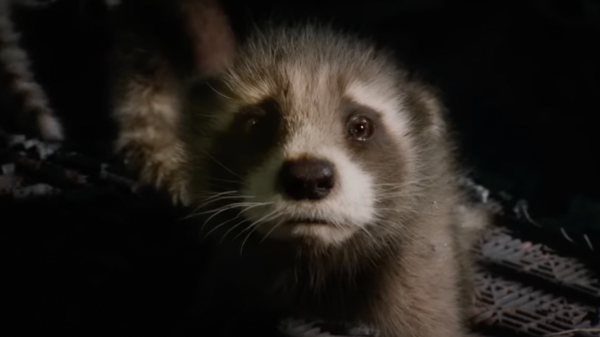 New Guardians of the Galaxy Vol. 3 trailer teases rumoured LEGO baby Rocket Raccoon