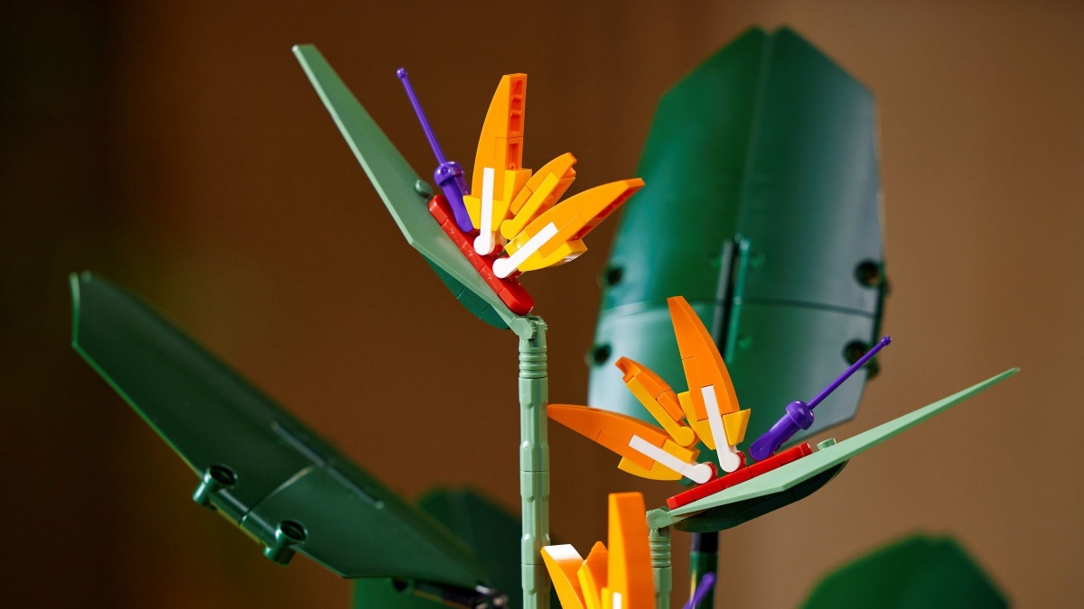 Bring a touch of the exotic with 15% off 10289 Bird of Paradise