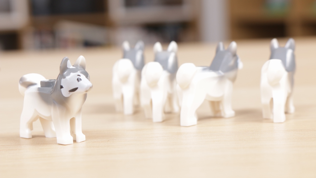WATCH: You need to look at this LEGO dog right now