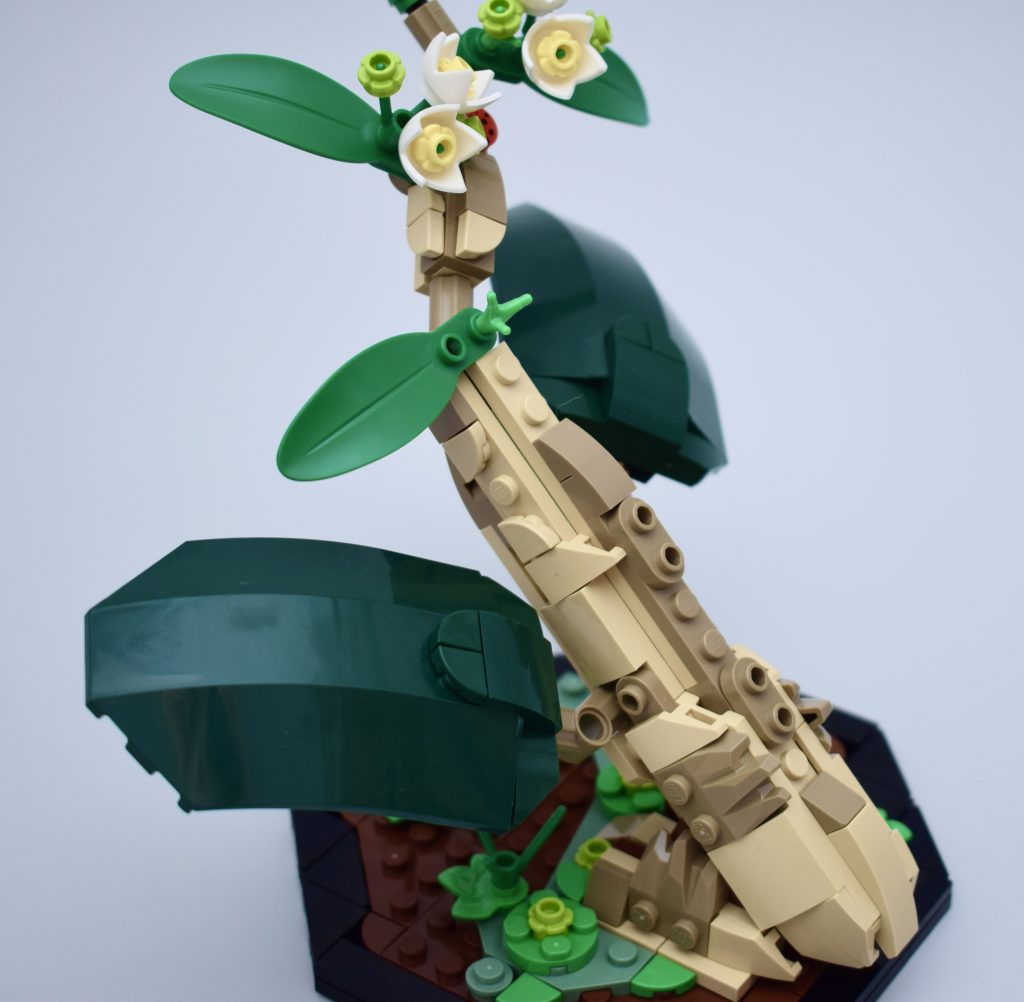 LEGO Ideas 21342 The Insects Collection Review 25 1024x1002